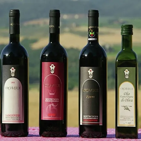 Dom wakacyjny Charming Tuscan
