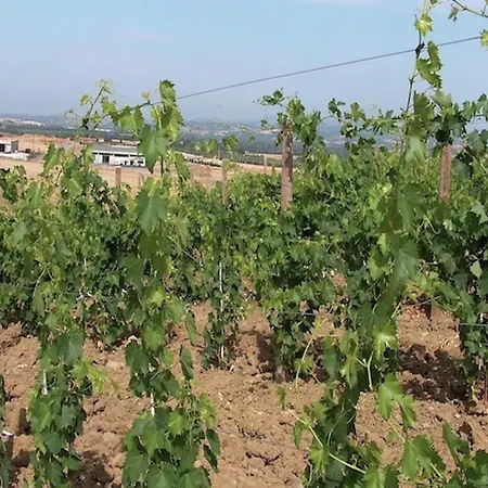 Charming Tuscan